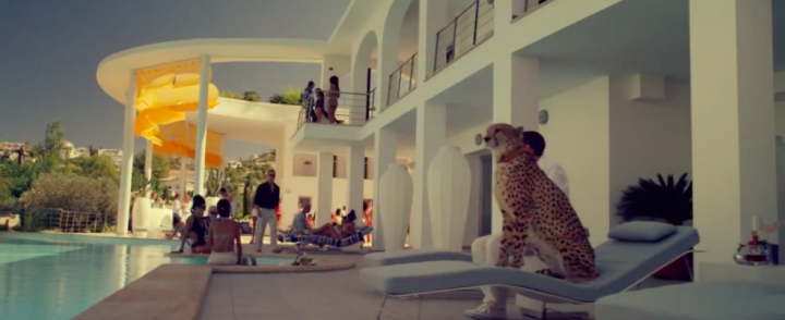 Like you've never invited a cheetah to a party before....