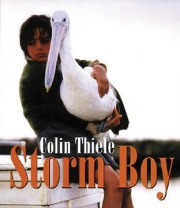 storm-boy